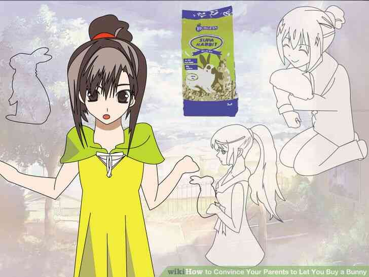 Image intitulée Convaincre Vos Parents de Vous Acheter un Lapin Étape 10